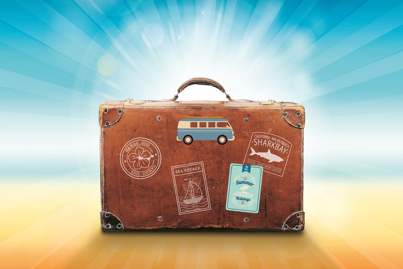 Travel Accessories